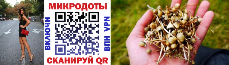 Галлюциногенные грибы прущие грибы  как найти   Пудож 